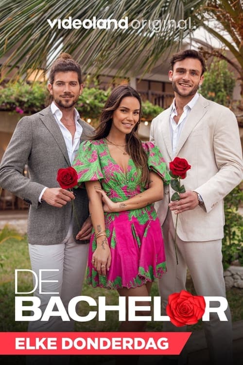 De Bachelor (Netherlands)